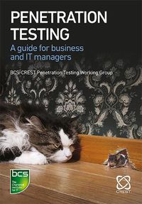 Cover image for Penetration Testing: A guide for business and IT managers