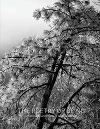 Cover image for The Poetry of Being: Photographs and Haikus