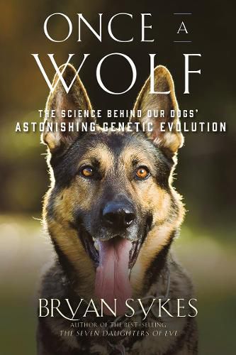 Cover image for Once a Wolf: The Science Behind Our Dogs' Astonishing Genetic Evolution