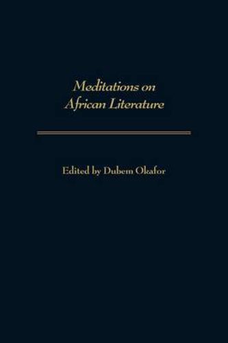 Cover image for Meditations on African Literature