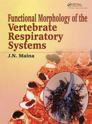 Cover image for Functional Morphology of the Vertebrate Respiratory Systems: Functional Morphology of the Vertebrate Respiratory Systems