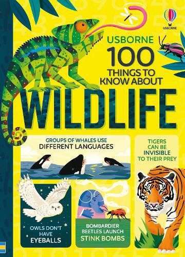 Cover image for 100 Things to Know About Wildlife