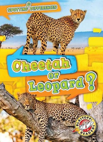 Cover image for Cheetah or Leopard