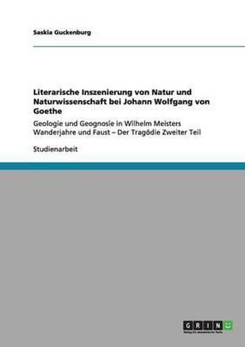 Cover image for Literarische Inszenierung Von Natur Und Naturwissenschaft Bei Johann Wolfgang Von Goethe