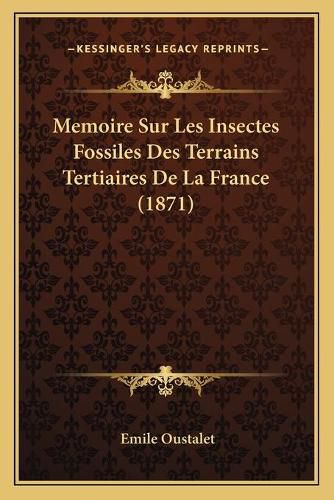 Cover image for Memoire Sur Les Insectes Fossiles Des Terrains Tertiaires de La France (1871)