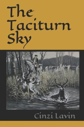 Cover image for The Taciturn Sky