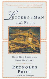 Cover image for Letter To A Man In The Fire: Does God Exist And Does He Care
