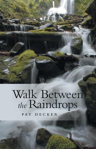 Cover image for Walk Between the Raindrops