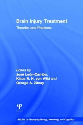 Cover image for Brain Injury Treatment: Theories and Practices