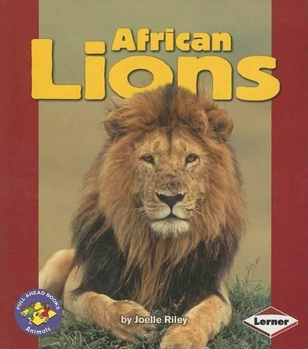 Cover image for African Lions