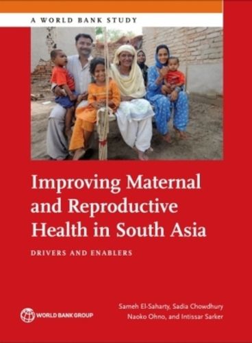 Cover image for Improving maternal and reproductive health in South Asia: drivers and enablers