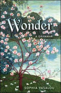 Cover image for Wonder: A Grammar