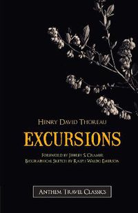 Cover image for Excursions