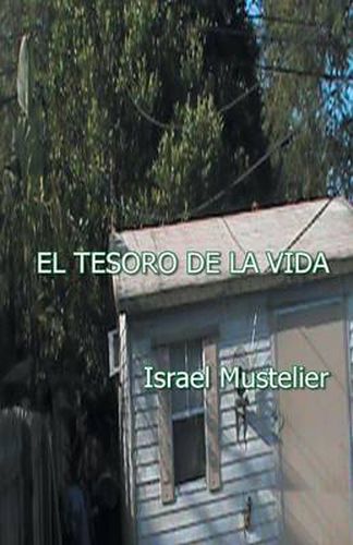 Cover image for El Tesoro de La Vida