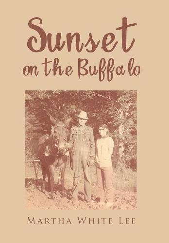 Cover image for Sunset on the Buffalo