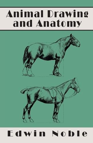 Cover image for Animal Drawing and Anatomy