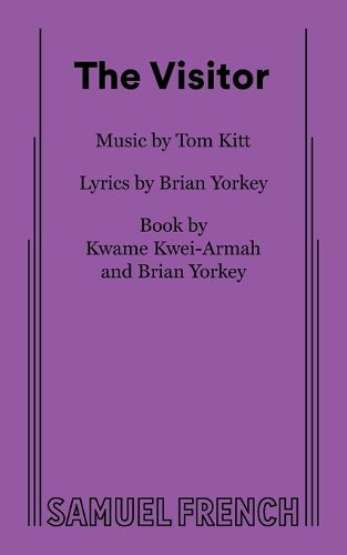 Cover image for The Visitor