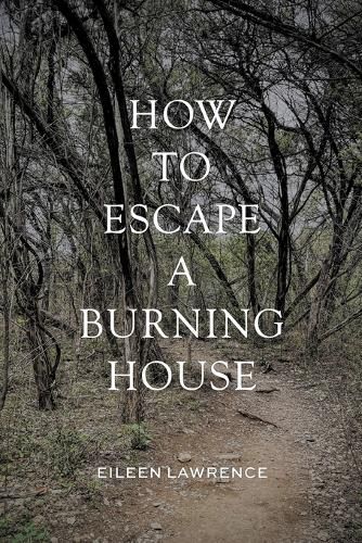 Cover image for How to Escape a Burning House