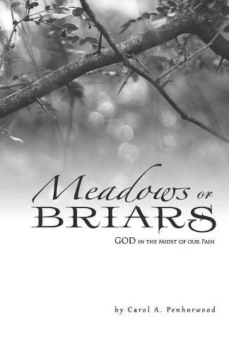 Cover image for Meadows or Briars: God in the Midst of Our Pain