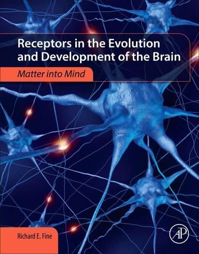 Cover image for Receptors in the Evolution and Development of the Brain: Matter into Mind