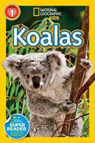 Cover image for National Geographic Kids Readers: Koalas