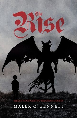 Cover image for The Rise