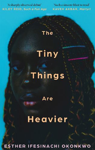 Cover image for The Tiny Things Are Heavier