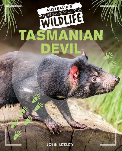 Cover image for Tasmanian Devil