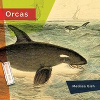 Cover image for Orcas