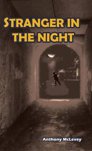 Cover image for Stranger in the Night