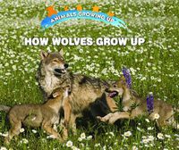 Cover image for How Wolves Grow Up