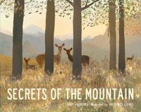 Cover image for Secrets of the Mountain