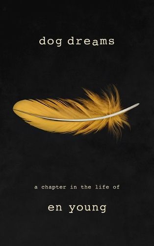 Cover image for Dog Dreams