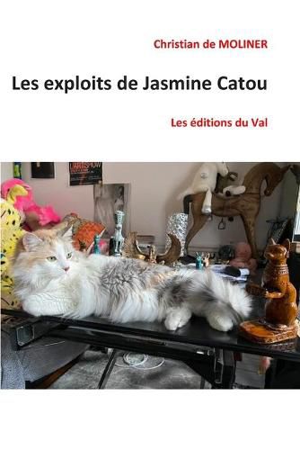 Cover image for Les exploits de Jasmine Catou: Les editions du Val