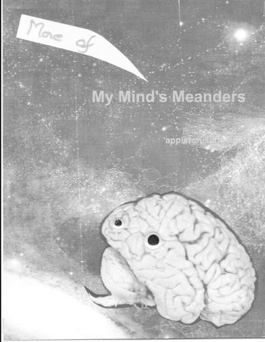 Cover image for More Mind Meanders (Mine)