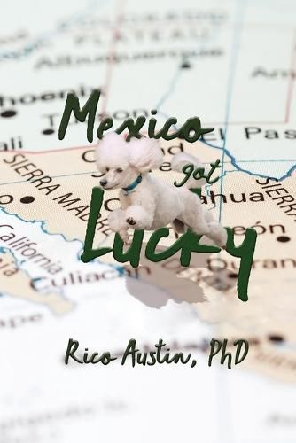 Cover image for Mexico Got Lucky: Updated Edition