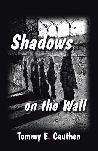 Cover image for Shadows on the Wall