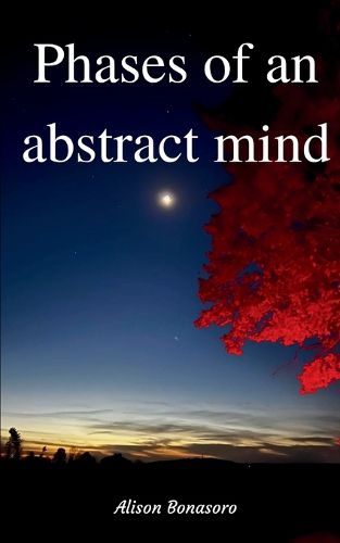 Cover image for Phases of an abstract mind