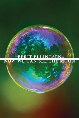 Cover image for Now We Can See the Moon