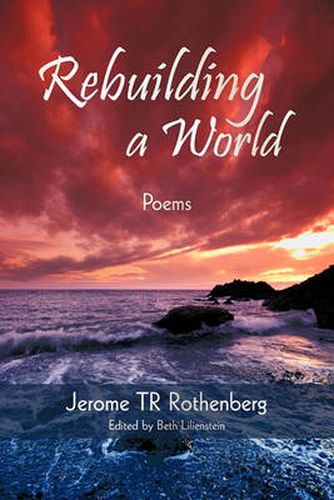 Cover image for Rebuilding a World