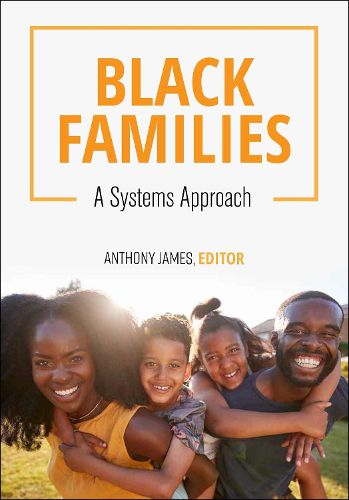 Cover image for Black Families: A Systems Approach