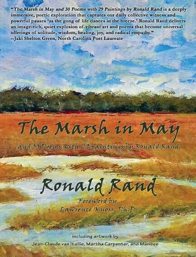 Cover image for The Marsh in May