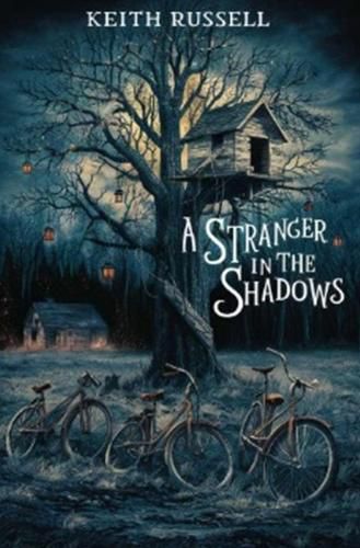 Cover image for A Stranger in the Shadows