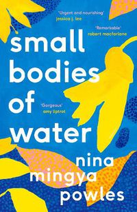 Cover image for Small Bodies of Water