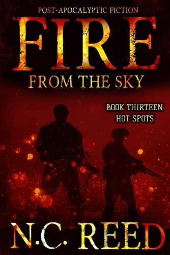 Cover image for Fire From the Sky