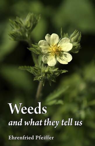 Cover image for Weeds and What They Tell Us