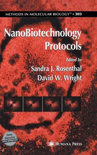 NanoBiotechnology Protocols