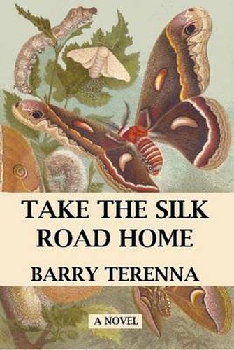 Cover image for Take the Silk Road Home