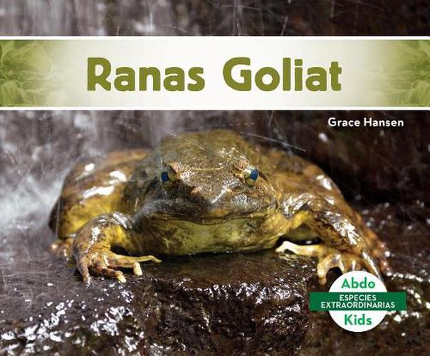 Cover image for Ranas Goliat / Goliath Frogs