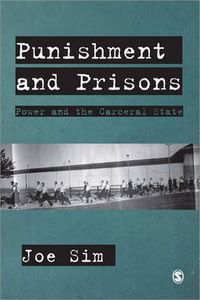 Cover image for Punishment and Prisons: Power and the Carceral State